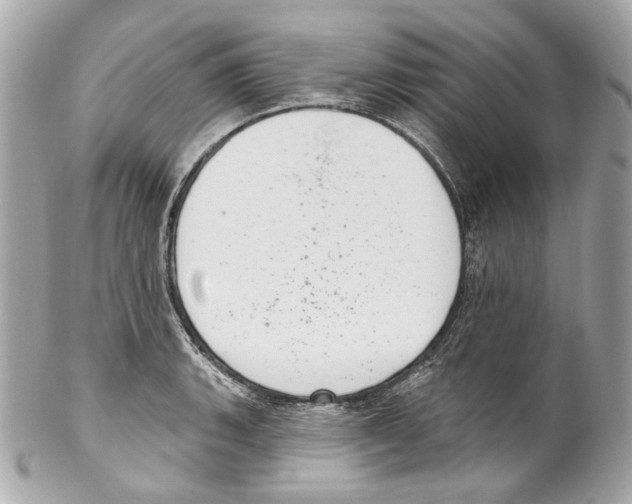 X0000102041135200808151401