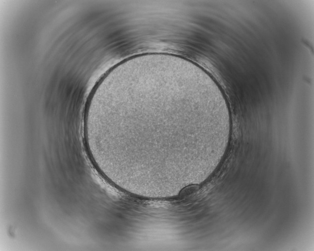 X0000102041136200808151401