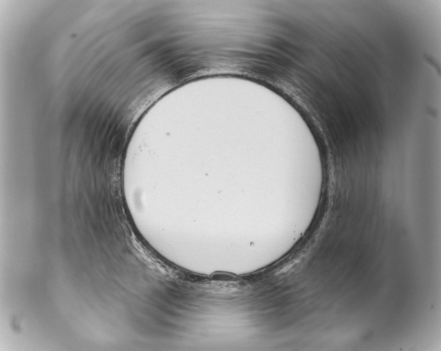 X0000102041137200808151401