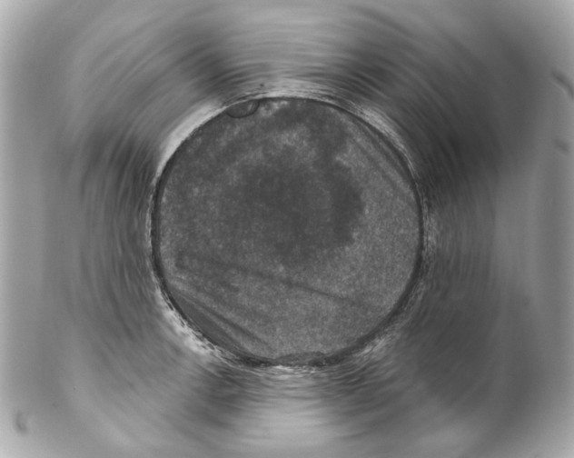 X0000102041138200808151401
