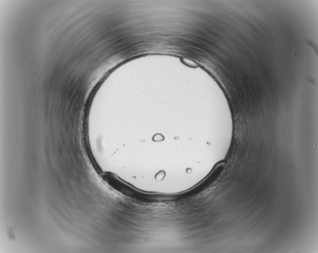 X0000102041139200808151401