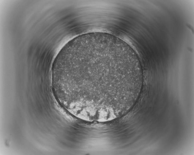 X0000102041140200808151401