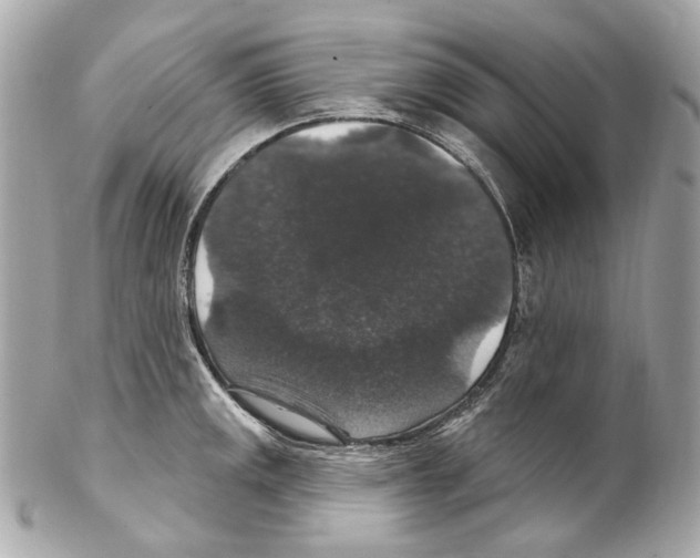 X0000102041141200808151401