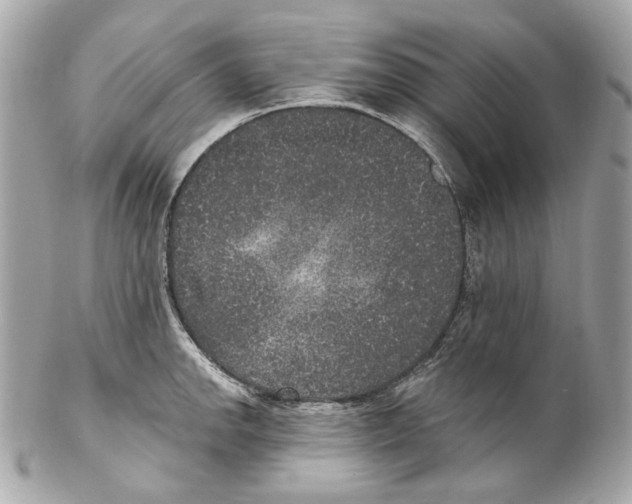 X0000102041142200808151401