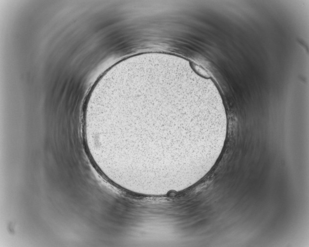 X0000102041143200808151401