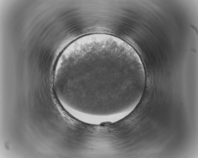 X0000102041144200808151401