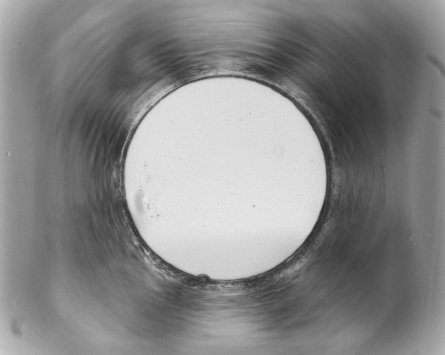 X0000102041145200808151401