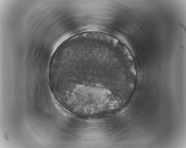 X0000102041146200808151401