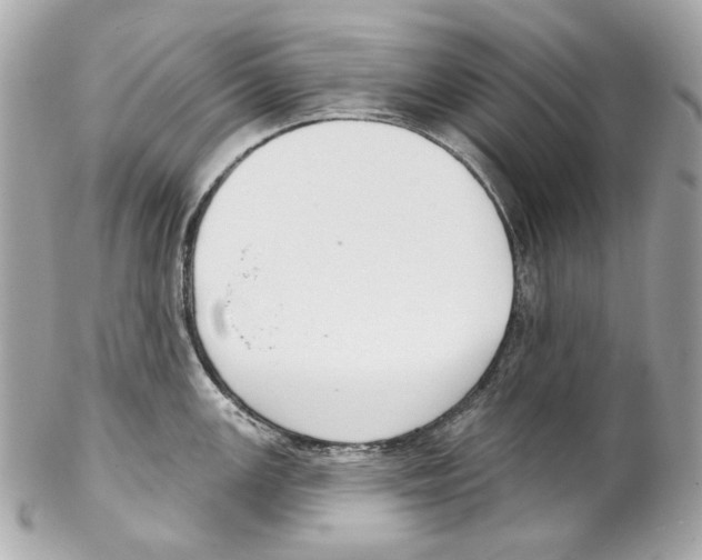 X0000102041147200808151401