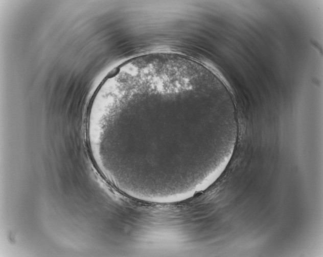 X0000102041148200808151401