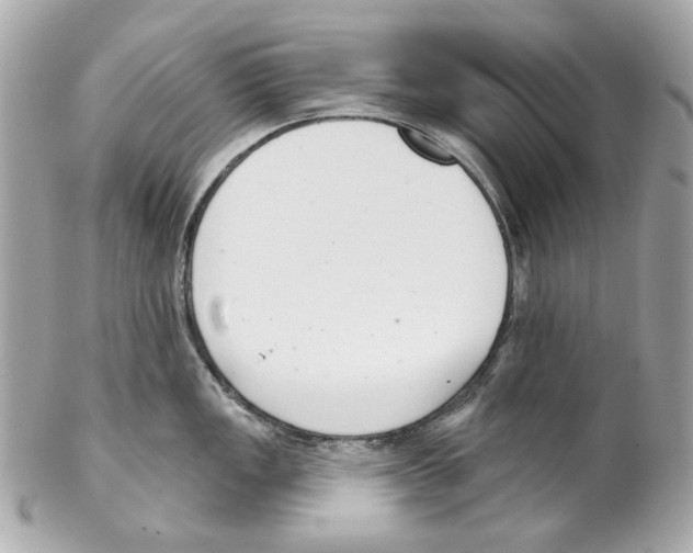 X0000102041149200808151401