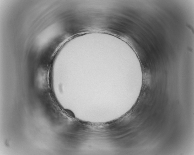 X0000102041150200808151401
