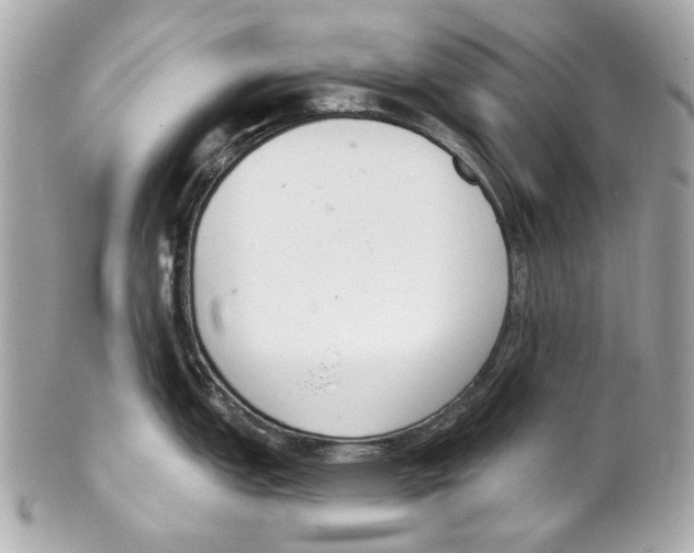 X0000102041151200808151401