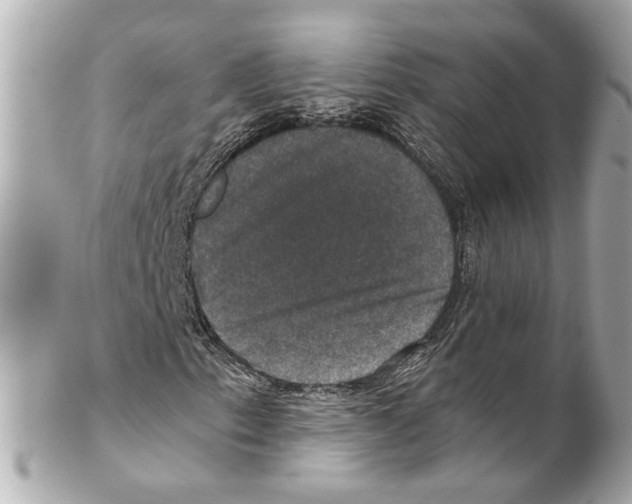 X0000102041153200808151400