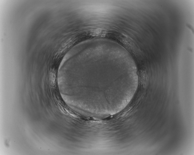 X0000102041154200808151400