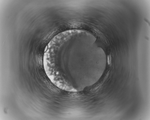 X0000102041155200808151400