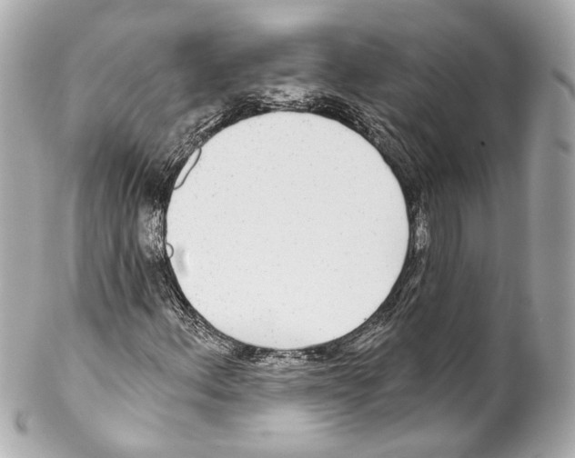 X0000102041156200808151400