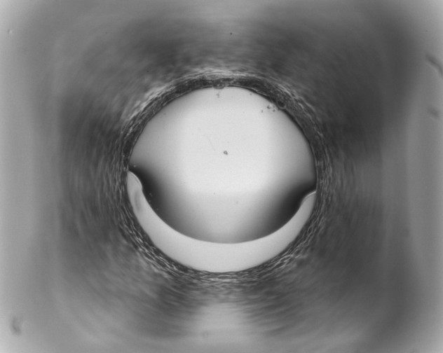X0000102041157200808151400