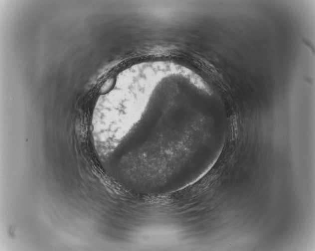 X0000102041158200808151400