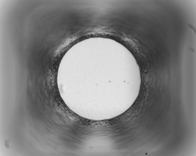 X0000102041159200808151400