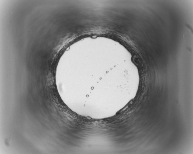 X0000102041160200808151400