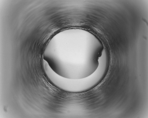 X0000102041161200808151400