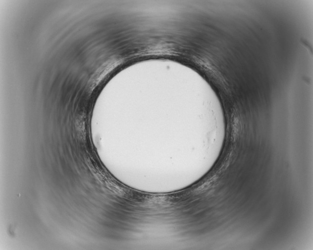X0000102041162200808151400