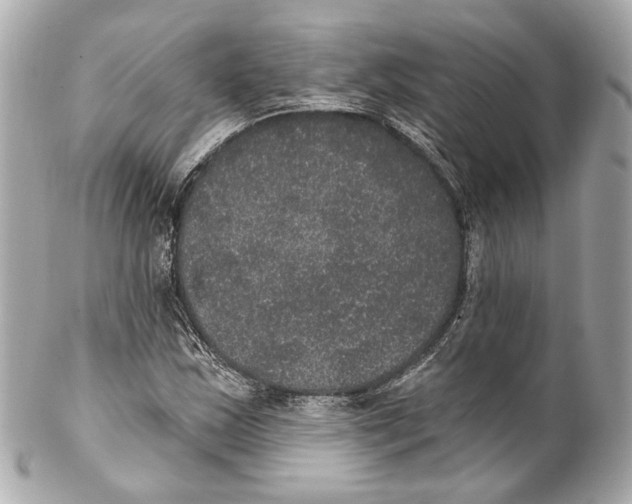 X0000102041163200808151400