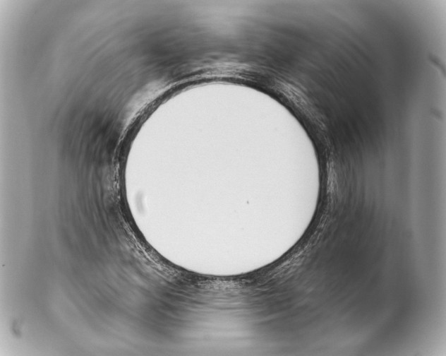 X0000102041164200808151400
