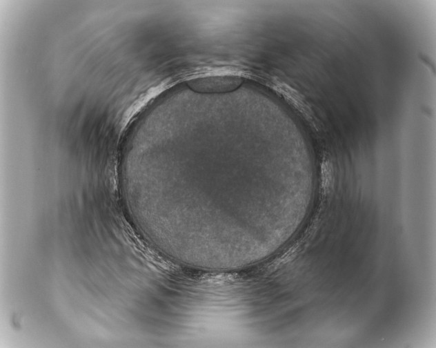 X0000102041165200808151400