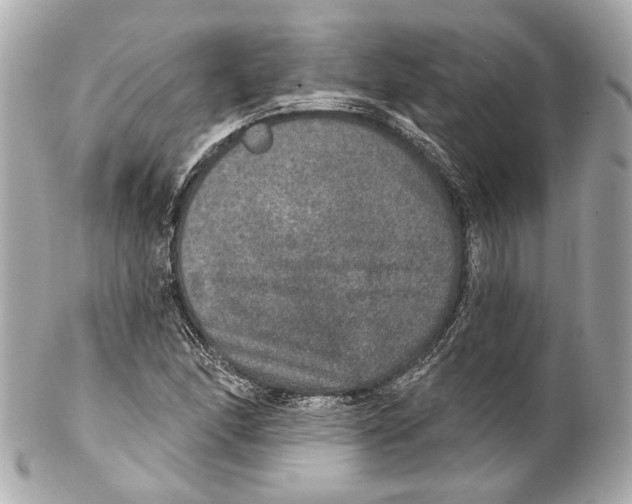 X0000102041166200808151400
