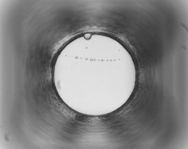 X0000102041167200808151400