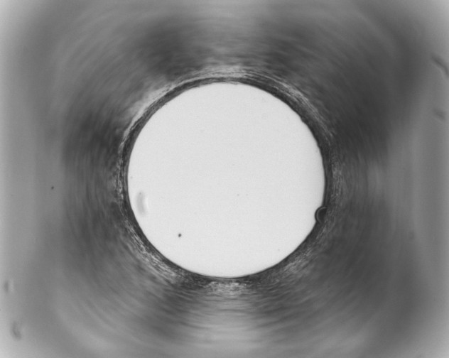 X0000102041168200808151400