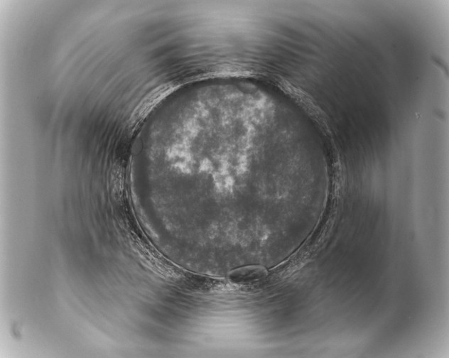 X0000102041169200808151400