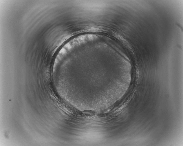 X0000102041170200808151400