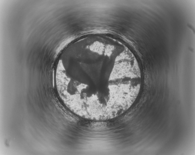 X0000102041171200808151400