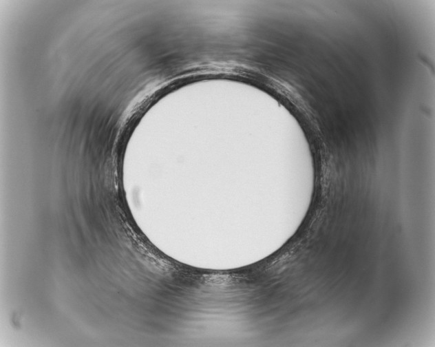 X0000102041172200808151400