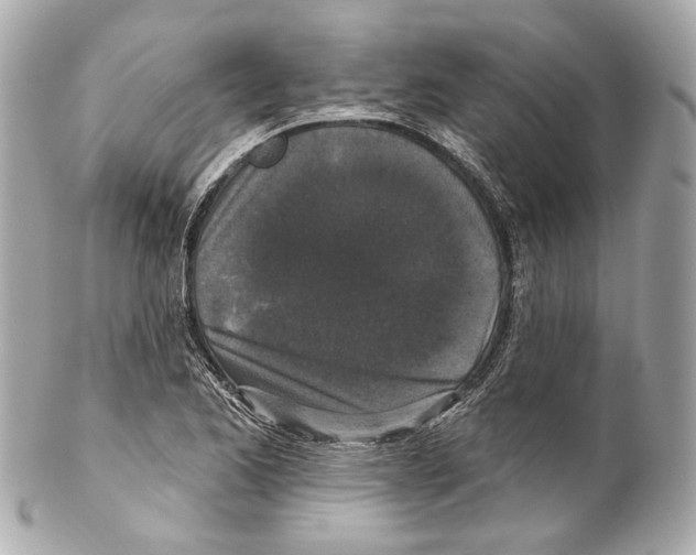 X0000102041173200808151400