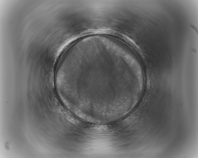 X0000102041174200808151400