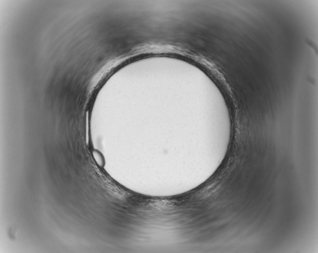 X0000102041175200808151400