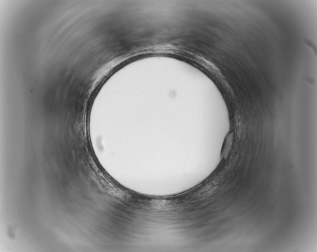 X0000102041176200808151400
