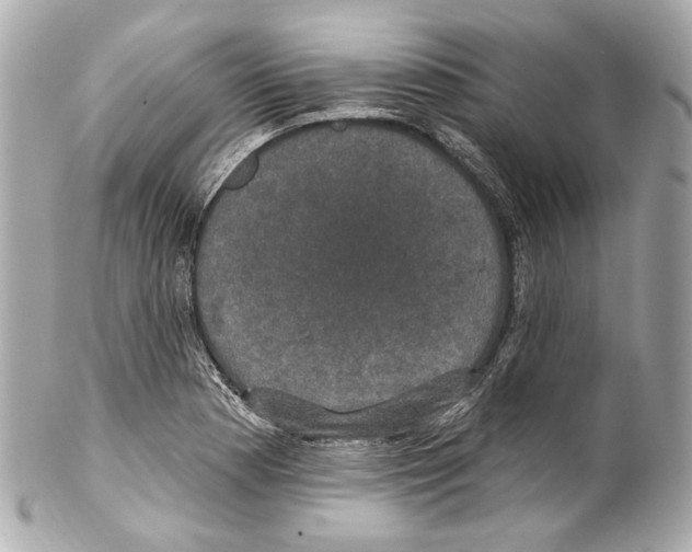 X0000102041177200808151400