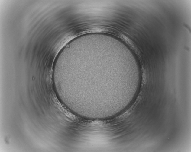 X0000102041178200808151400