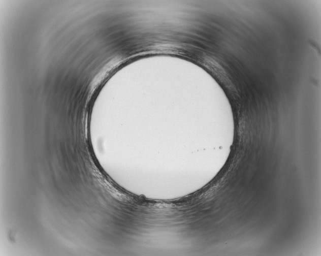 X0000102041180200808151400