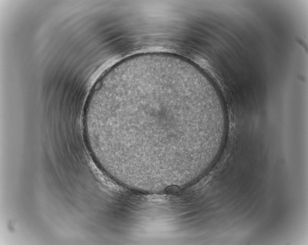 X0000102041181200808151400