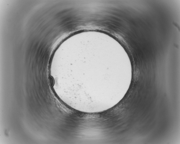 X0000102041183200808151400