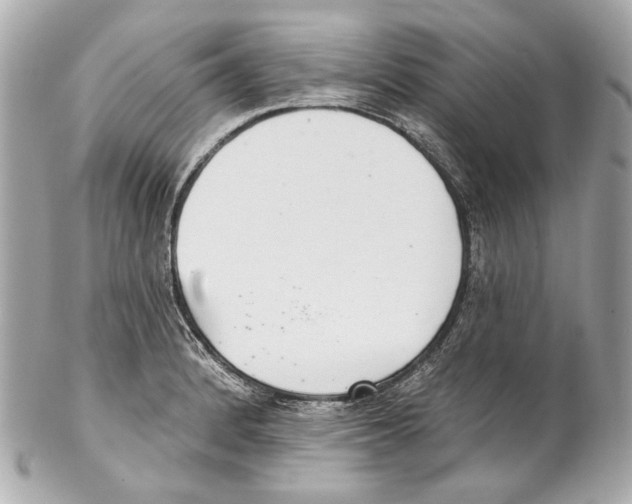 X0000102041184200808151400