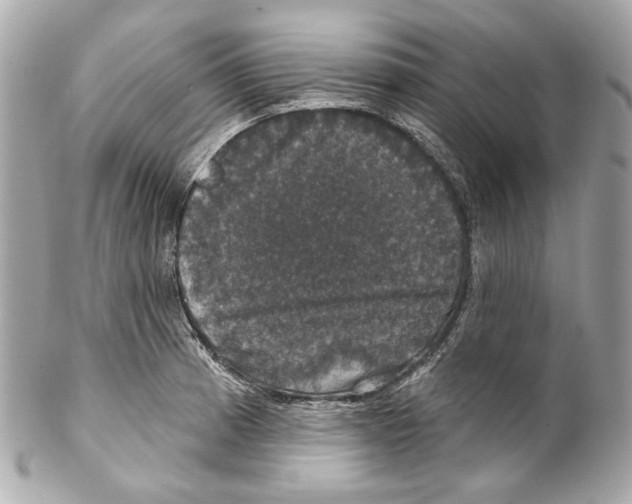 X0000102041185200808151400