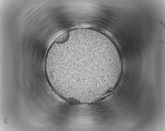 X0000102041186200808151400