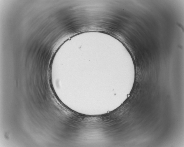 X0000102041187200808151400